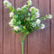 ALLIUM
