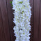TRAILING FLOWERS
