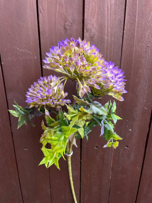 LONG SPIKY GLOBE PURPLE