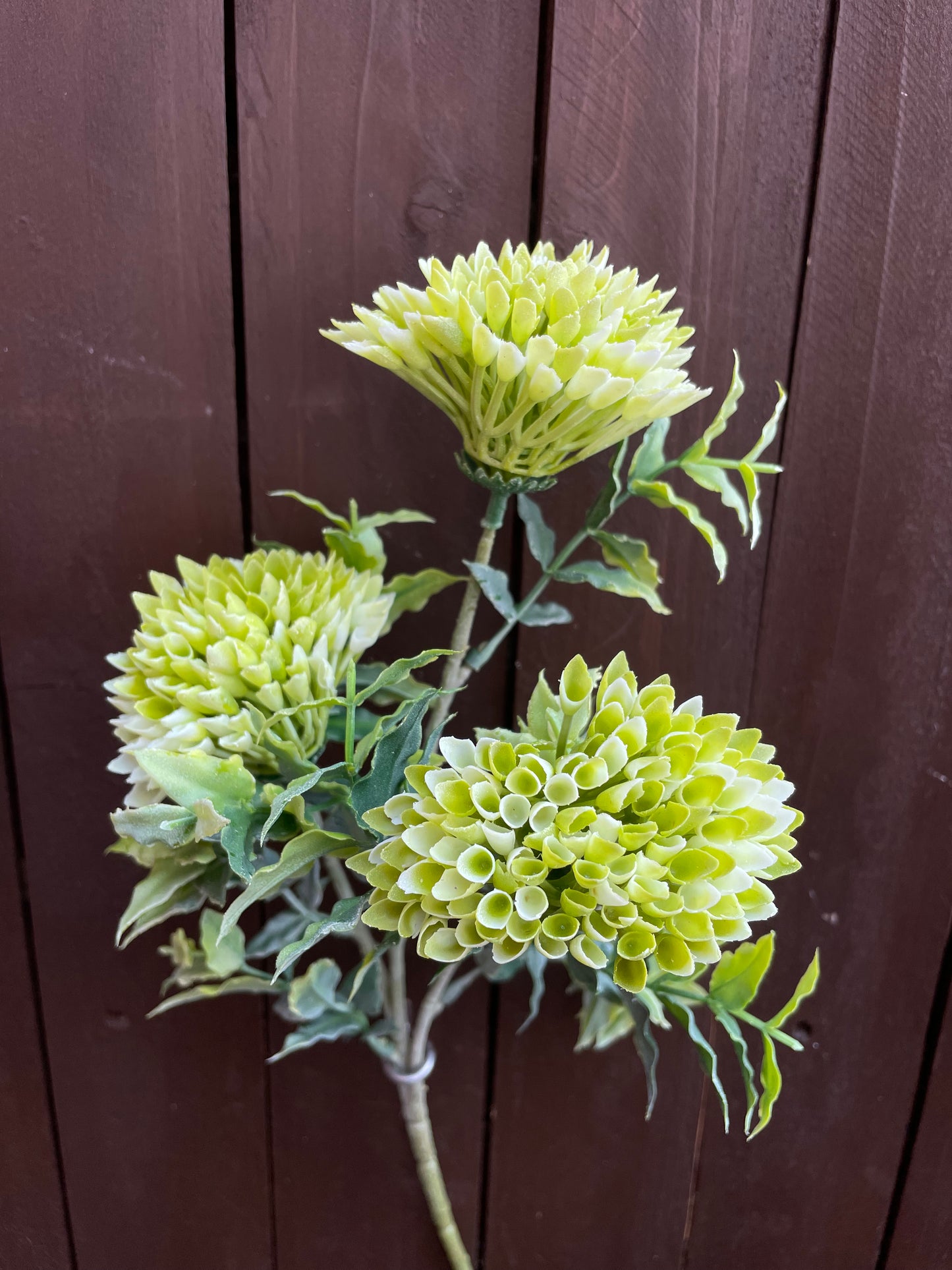 LONG SPIKY GLOBE GREEN