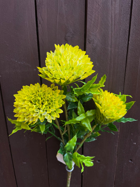LONG SPIKY GLOBE YELLOW