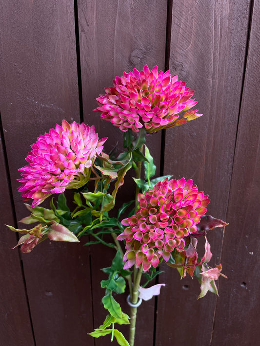 LONG SPIKY GLOBE PINK