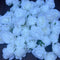 FLOWER HEADS