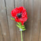 POPPY